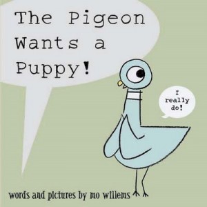 pigeon dog